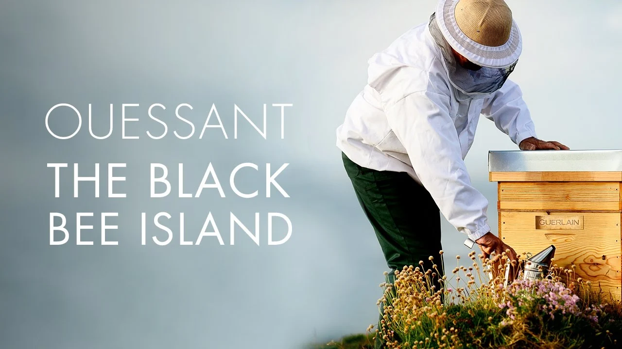 Ouessant: The Black Bee Island - Guerlain